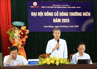 ĐẠI HỘI ĐỒNG CỔ ĐÔNG THƯỜNG NIÊN NĂM 2025 CÔNG TY CỔ PHẦN THỦY ĐIỆN ĐA NHIM - HÀM THUẬN - ĐA MI
